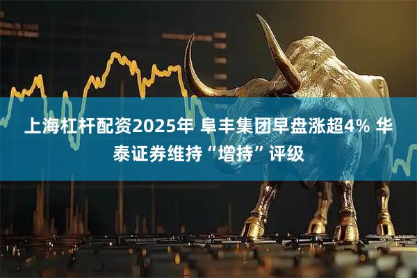 上海杠杆配资2025年 阜丰集团早盘涨超4% 华泰证券维持“增持”评级