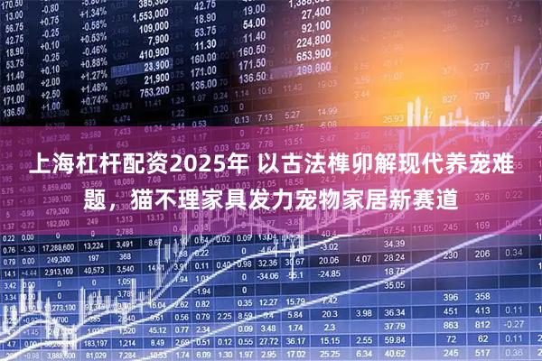 上海杠杆配资2025年 以古法榫卯解现代养宠难题，猫不理家具发力宠物家居新赛道